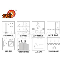 SELI温度传感器