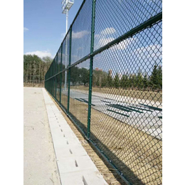 厂家供应 铁丝围栏网 场地护栏网 样式齐全 尺寸定制
