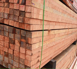 木材加工-日照国鲁木材厂-樟子松木材加工