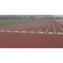 滁州塑胶跑道-武汉赛龙体育设施公司-塑胶跑道标准