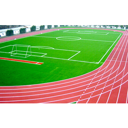 室外塑胶跑道- 天津市众鼎体育设施-室外塑胶跑道铺设