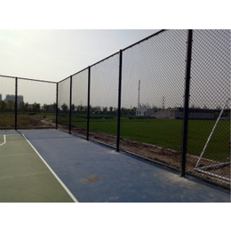 球场围栏网价格-球场围栏网-球场围栏网厂家(在线咨询)