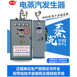 电热蒸汽发生器*-四川电热蒸汽发生器-台锅锅炉