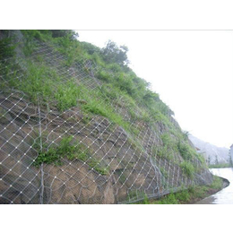 边坡防护网*|边坡防护网|澳达丝网