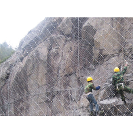 泰山岩石防护网、防护网、柔性防护网