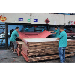 森骏板材(图)-杉木板质量-延庆杉木板