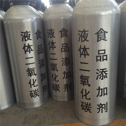 10L二氧化碳_信阳市二氧化碳_念龙化工