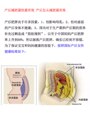 产后肚子大怎么*-*-产后多久可以运动*