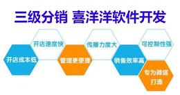 哈尔滨三级分销*软件模式平台网站系统开发