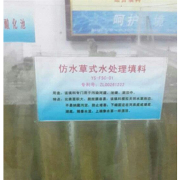 水草填料|绿荷水生植物种植|仿水草填料供应商