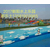 游泳池涂料|濮阳都乐士商贸公司|泳池涂料缩略图1