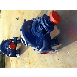 强盛水泵-海南SH型双吸泵