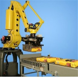 小型工业6轴机械臂代替人工省时省力批量生产定制搬运机器人