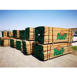 北美红橡木木材图片、上海安天木业(在线咨询)、北美红橡木