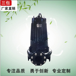南京古蓝环保设备(图)_小功率泵_惠州泵