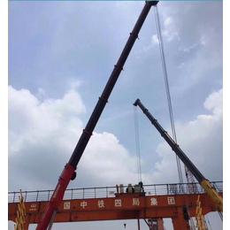 广州12T吊机出租图片、萝岗吊机出租、粤运机器设备吊装