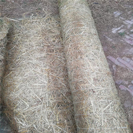 鸡西*环保植草毯 新型*冲刷植草毯 草籽植草毯 秸秆草毯
