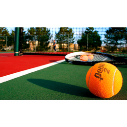 网球排球羽毛球场地地毯缩略图