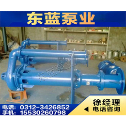 株洲排污泵_东蓝泵业_3米排污泵