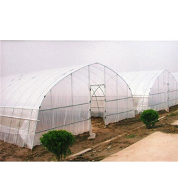 合肥建野(图)|塑料薄膜温室|安徽薄膜温室