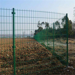 双边丝护栏网  圈地围栏网 隔离防护围栏
