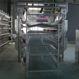 河南宏伟蛋鸡自动化养殖设备 层叠式鸡笼热镀锌养殖设备