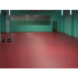 橡塑地板,沧州耐美雅,体育橡塑地板