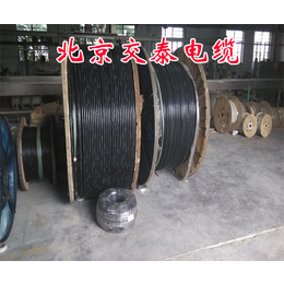 电缆供应商|电缆|北京交泰电缆电缆厂