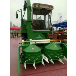 高速双转盘秸秆靑储机厂家供应玉米秸秆收割机 牧草青贮回收机