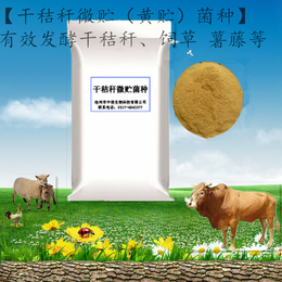 干秸秆黄贮 * 微生物菌剂发酵为高质量饲料 增加秸秆营养