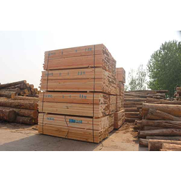 樟子松建筑木方|辰丰木材加工厂价格|樟子松建筑木方哪家便宜