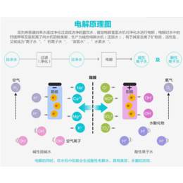 供应*电解还原水机品牌排行榜健宜还原电解水机