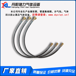不锈钢软管公司-丹阳协力气体(在线咨询)-西藏不锈钢软管