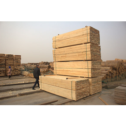 辐射松建筑方木供应-北京辐射松建筑方木-日照旺源木业