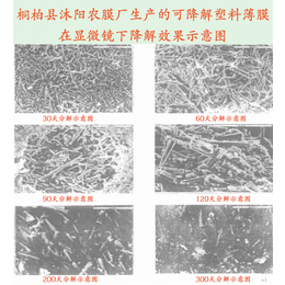 浙江降解地膜-光降解地膜-价格(****商家)