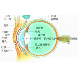 南宁综合验光仪