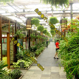 扬州生态饭店厂家,生态饭店,南京生态饭店造价