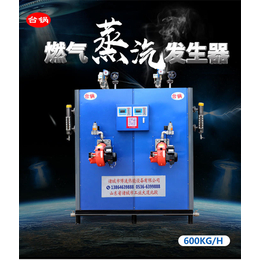 台锅锅炉-台湾燃气蒸汽发生器-燃气蒸汽发生器型号
