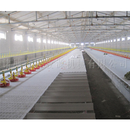 鸡饲养机械规格-诸城市大牧源-徐州饲养机械规格