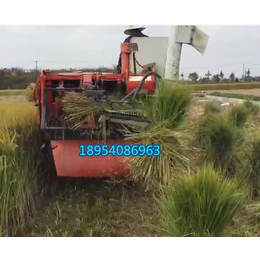 水稻收割脱粒打捆一体机 定制生产 进口设备 水稻联合收割机