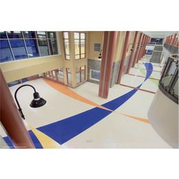 瑞勒环保建材(图)|学校pvc地板胶|常德市学校pvc地板