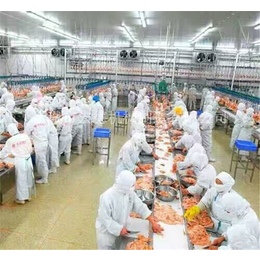 宏德机械-晋城鸡屠宰生产线-全自动鸡屠宰生产线生产商