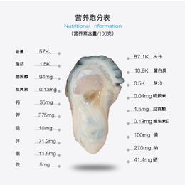 汕头日式食材批发-鳗鱼鱿鱼秋刀鱼