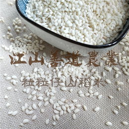 善道农业开发有限公司(图)、山稻米多少钱一斤、山稻米