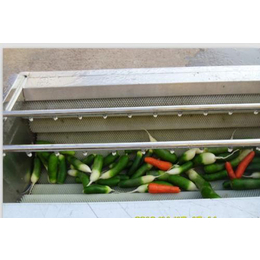 诚达食品机械(图)-叶类蔬菜清洗机报价-哈尔滨清洗机