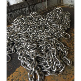 不锈钢链条、泰安鑫洲机械有限公司、不锈钢链条价格