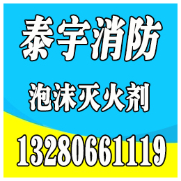 四川泡沫罐批发_南充泡沫罐_泰宇消防(查看)