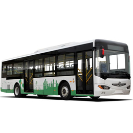 电动公交车超低价-东风客车(在线咨询)-兴国电动公交车