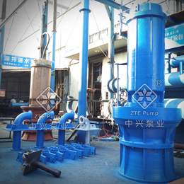 天津QZB潜水轴流泵生产厂家