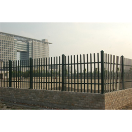 山东塑钢护栏(图),公园草坪绿化护栏价格,淄博护栏